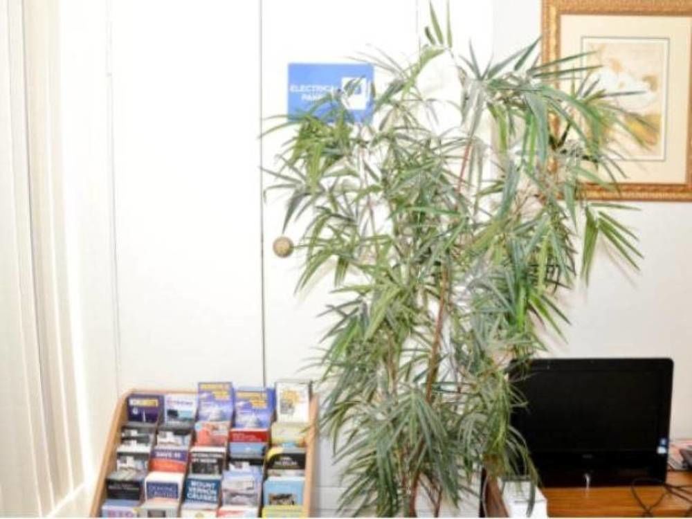 Dc International Hostel 1 Вашингтон Экстерьер фото